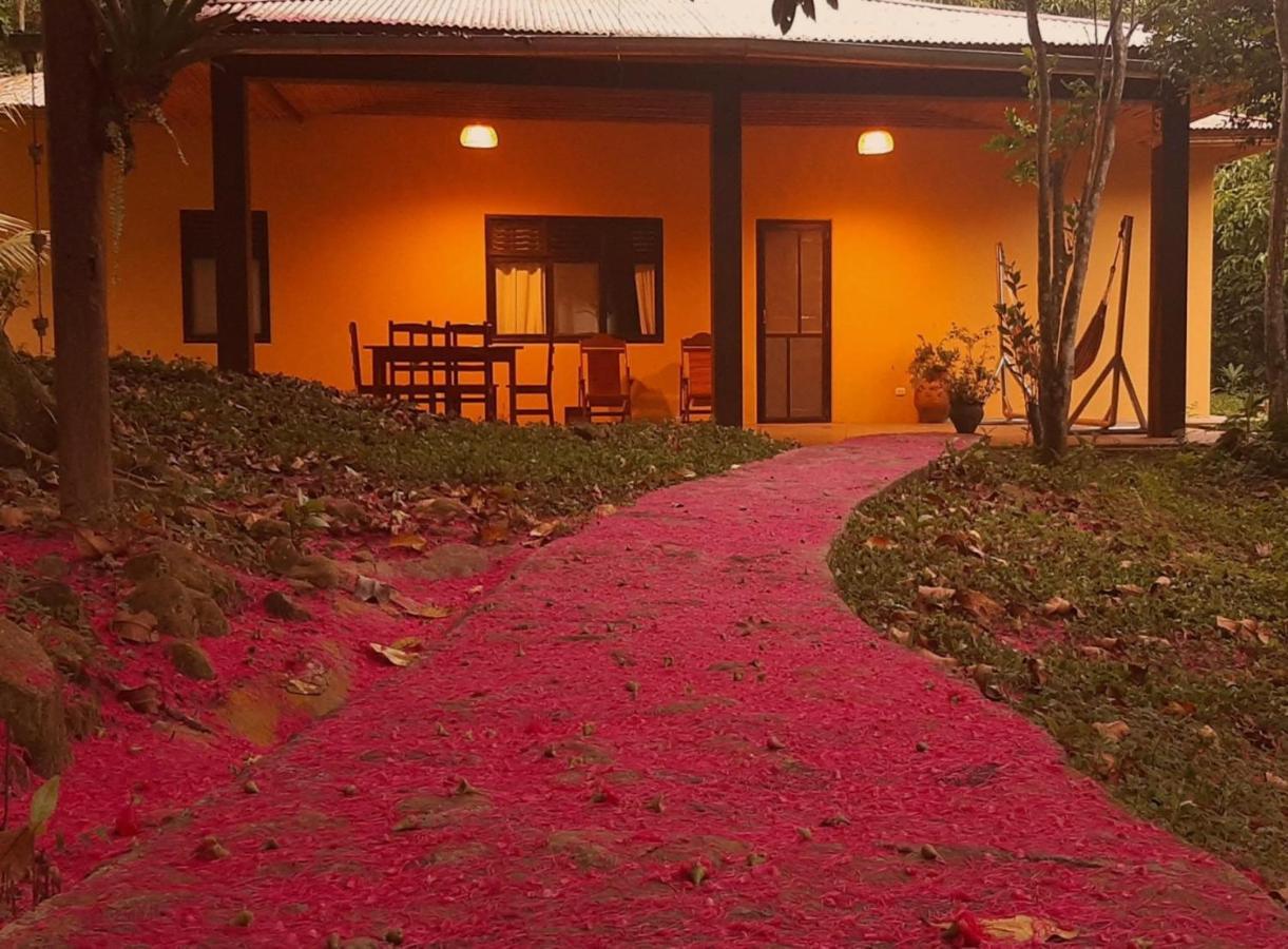Cordillera Escalera Lodge 塔拉波托 外观 照片