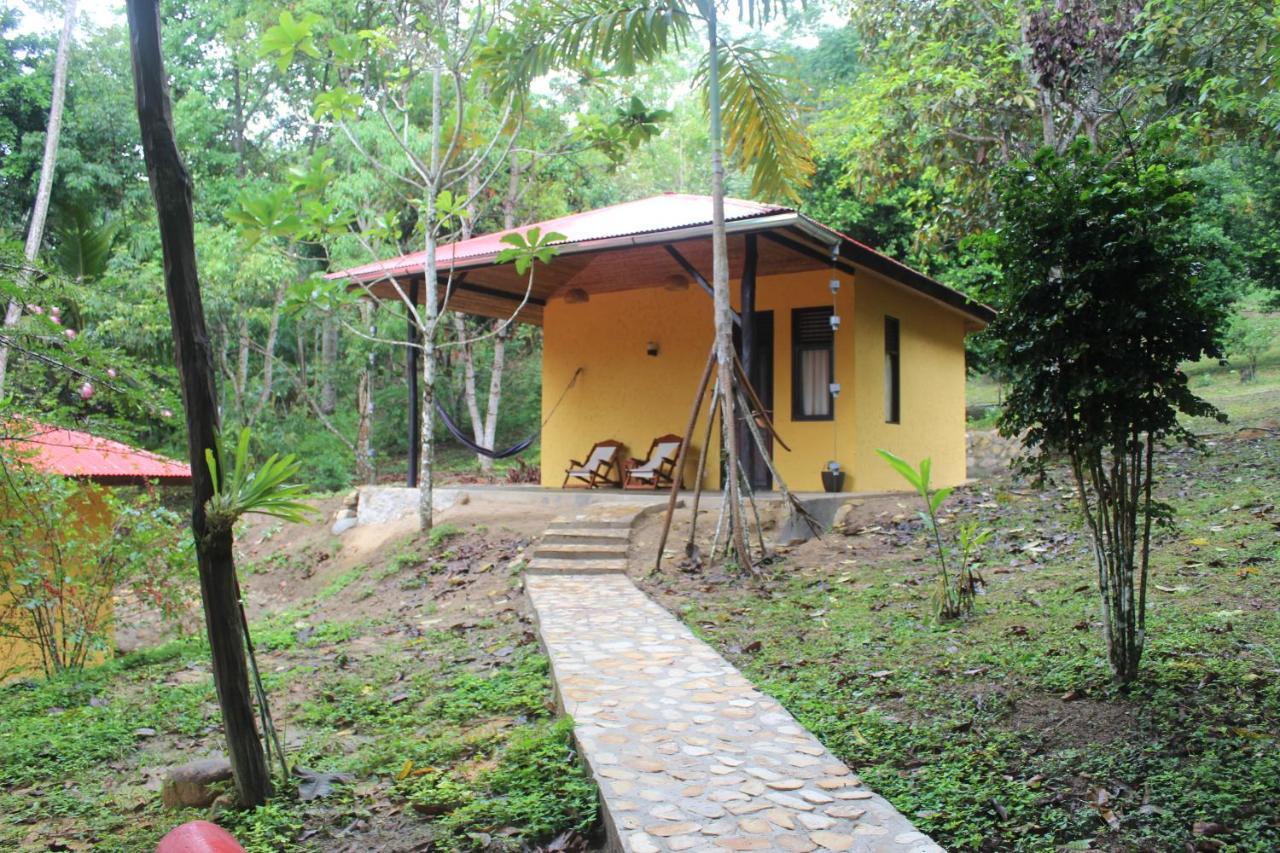 Cordillera Escalera Lodge 塔拉波托 外观 照片
