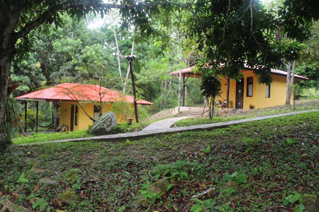 Cordillera Escalera Lodge 塔拉波托 外观 照片