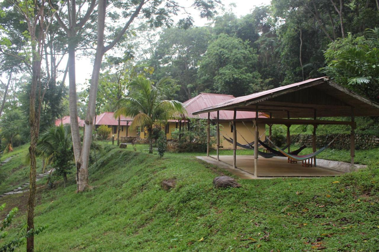 Cordillera Escalera Lodge 塔拉波托 外观 照片