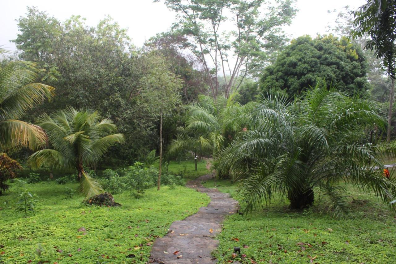 Cordillera Escalera Lodge 塔拉波托 外观 照片