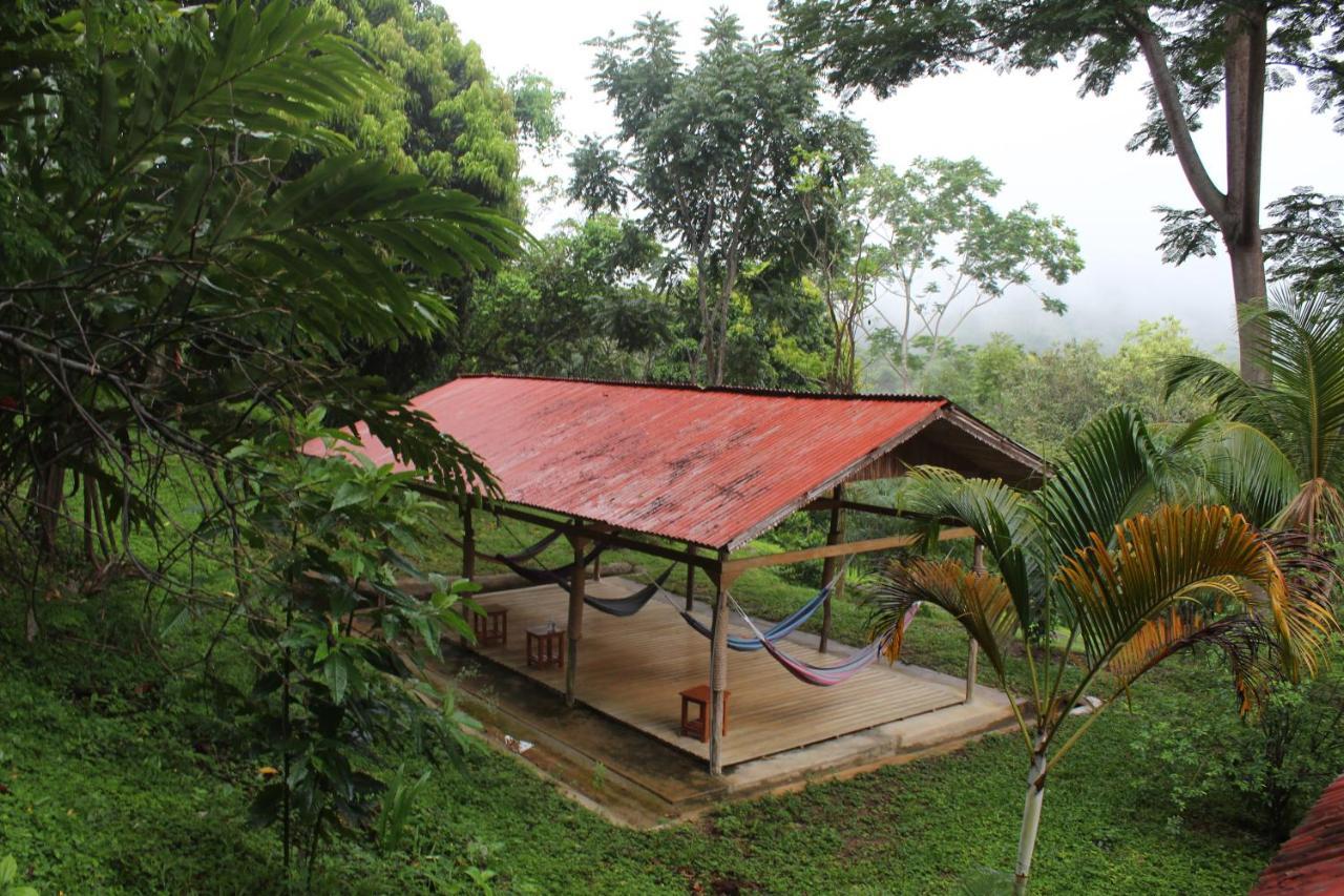 Cordillera Escalera Lodge 塔拉波托 外观 照片