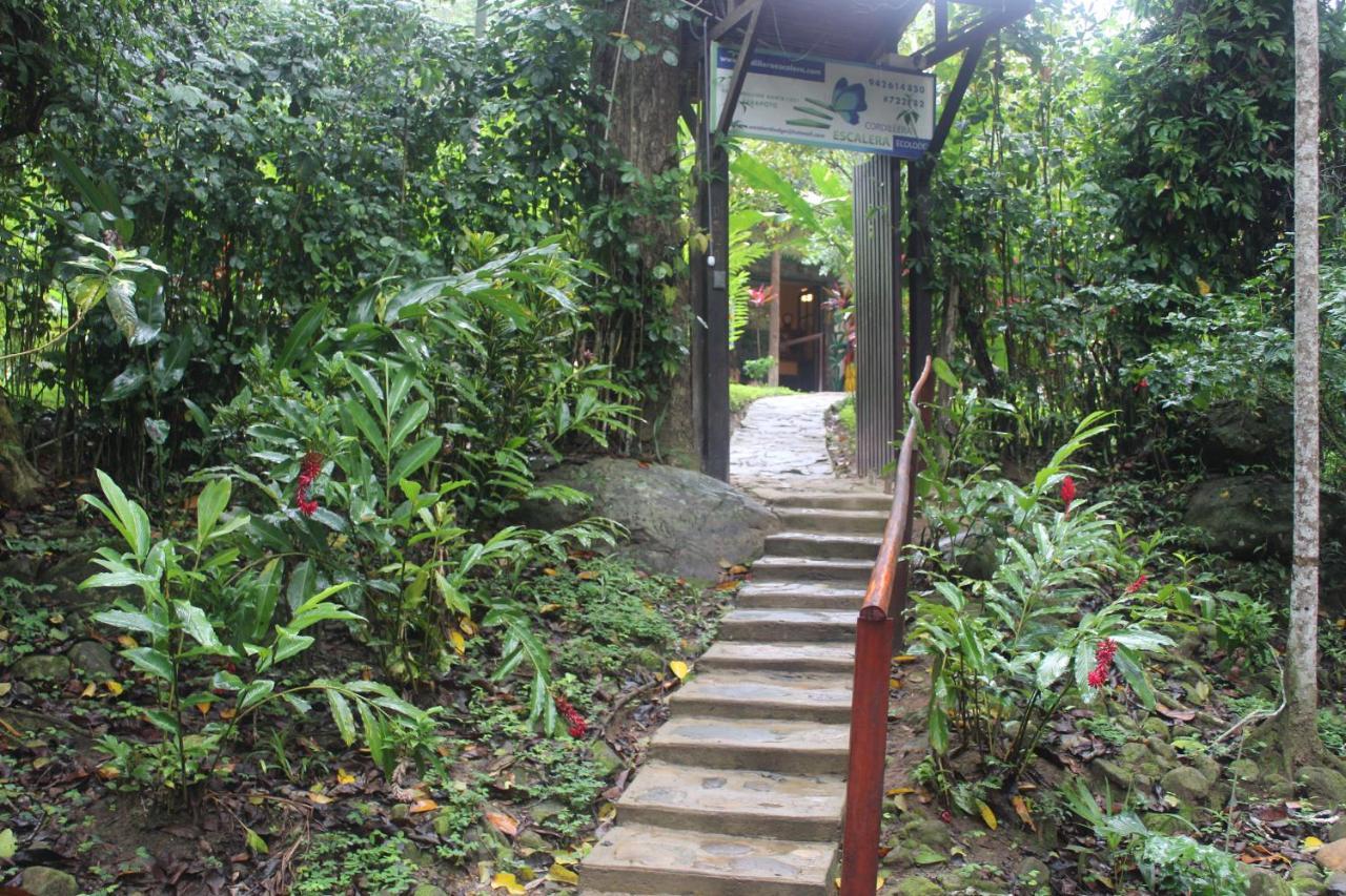 Cordillera Escalera Lodge 塔拉波托 外观 照片