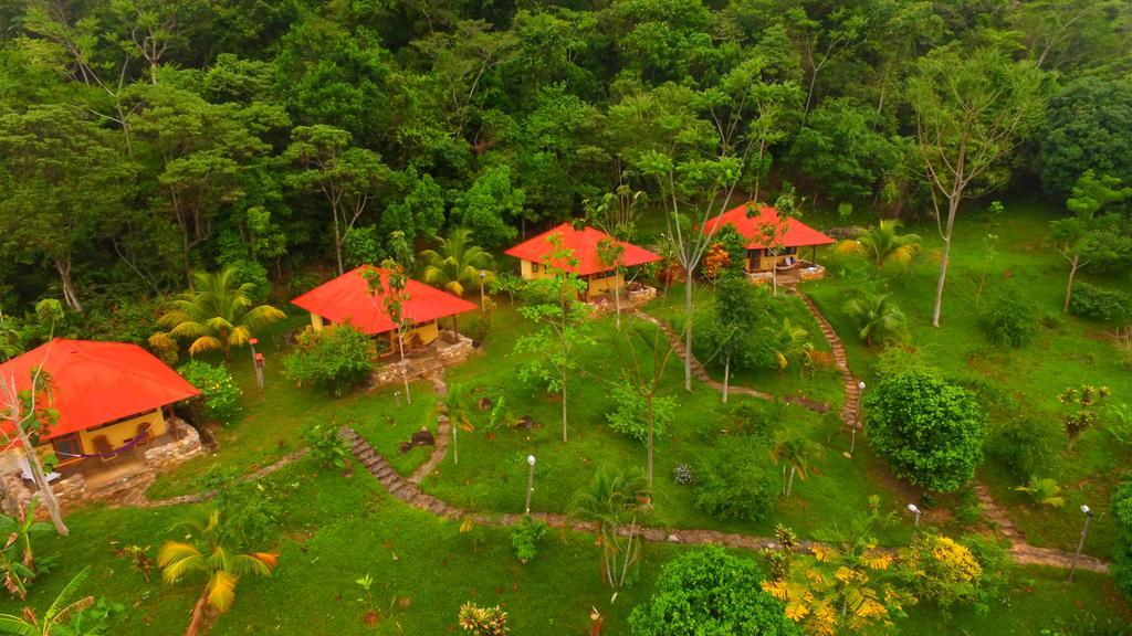 Cordillera Escalera Lodge 塔拉波托 外观 照片