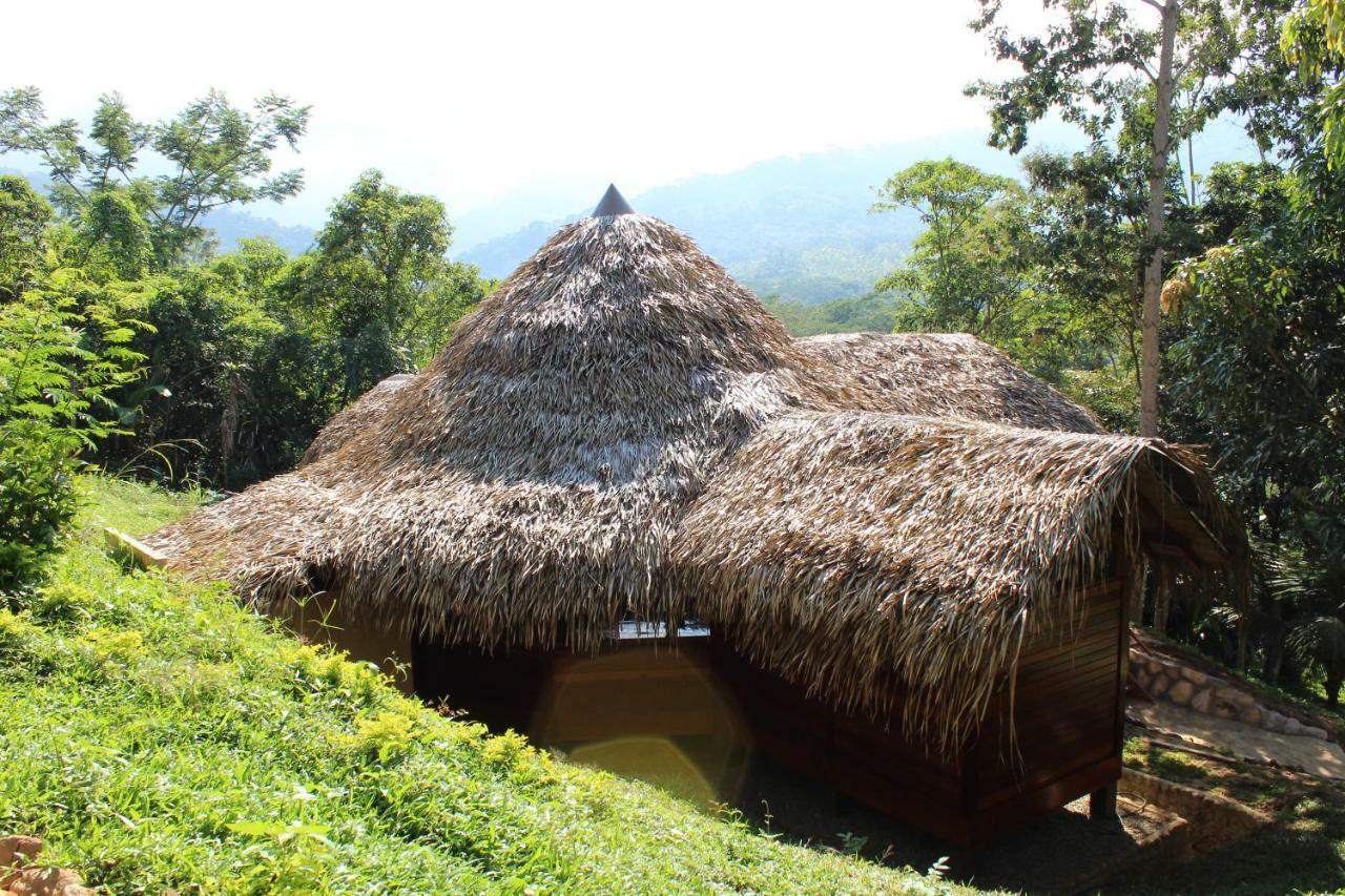 Cordillera Escalera Lodge 塔拉波托 外观 照片