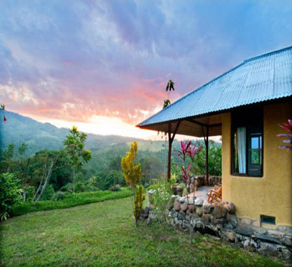 Cordillera Escalera Lodge 塔拉波托 外观 照片